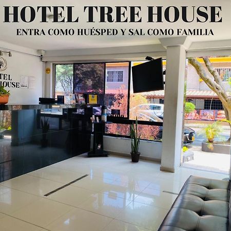Hotel Tree House Медельин Экстерьер фото